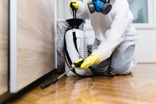 Pest Control for Restaurants in Shenandoah, TX