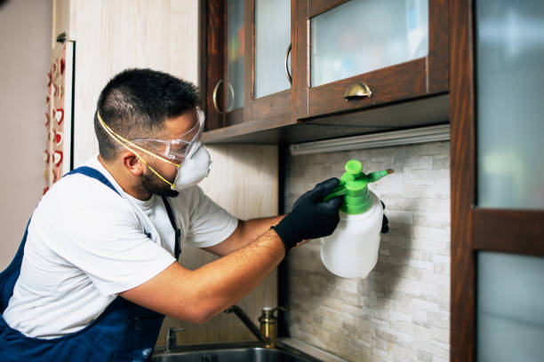 Professional Pest Control in Shenandoah, TX