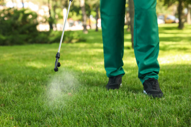 Best Wasp Removal Services  in Shenandoah, TX
